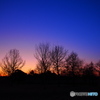 BLUE MOMENT