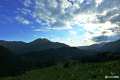 丸山千枚田