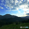 丸山千枚田