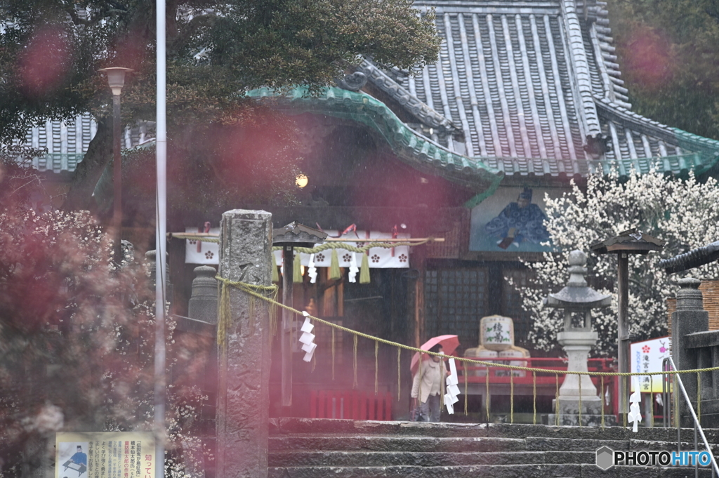 雨の日の参拝