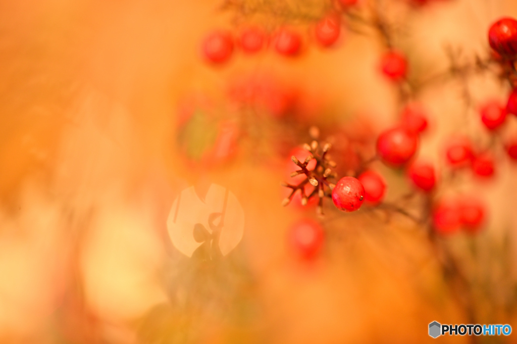 2026 First photo shoot