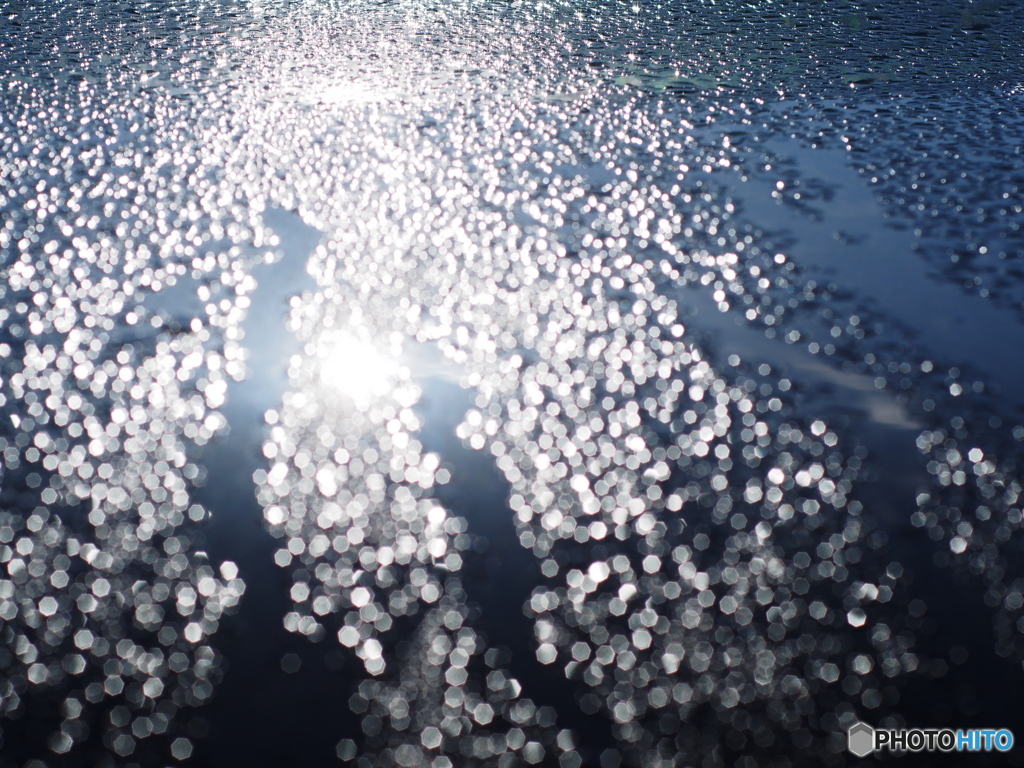雨の朝