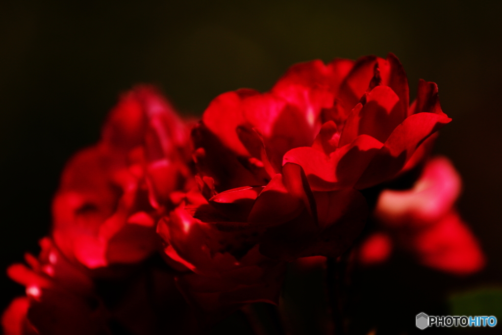 深紅
