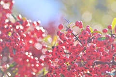輝きの向こう側へ