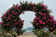 よしうみバラ公園