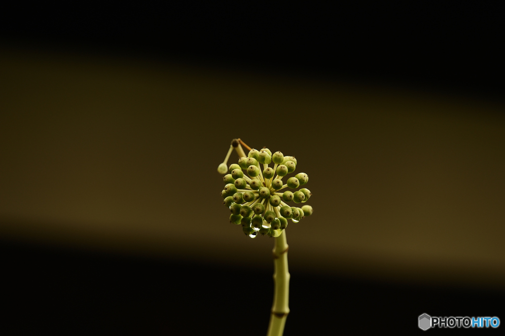 何でしょうか？