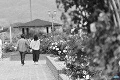 Walk holding hands 