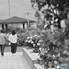 Walk holding hands 