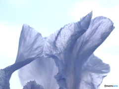 空に向かって