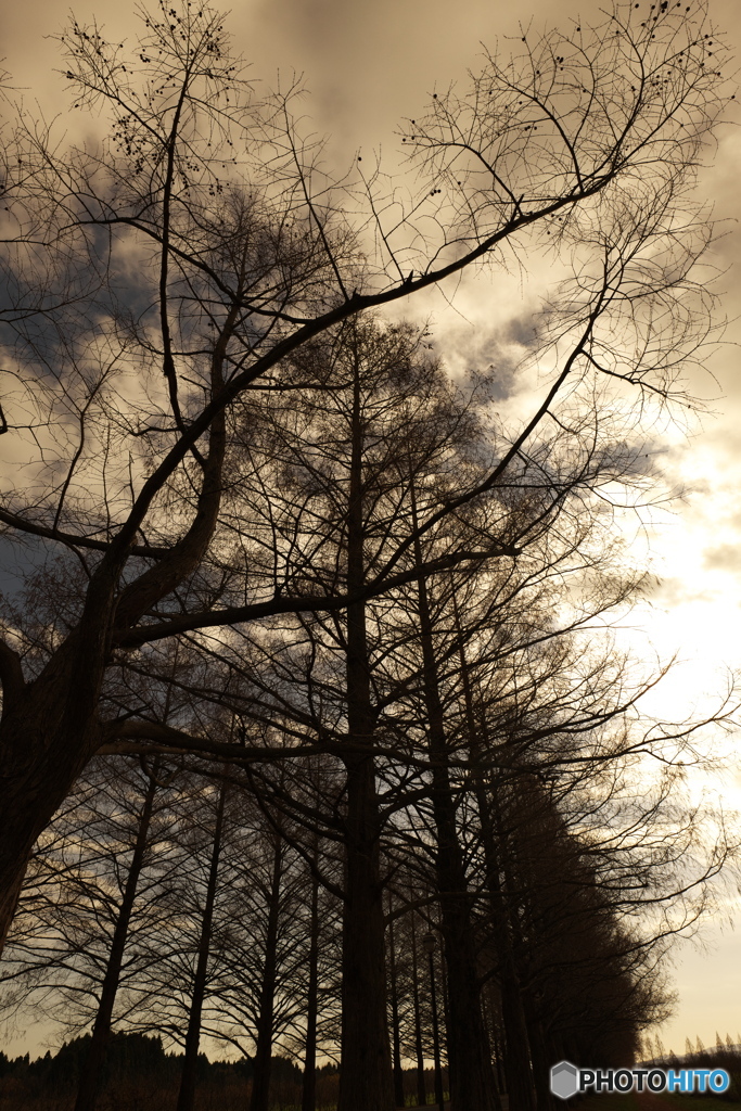 Those are some gloomy rainclouds