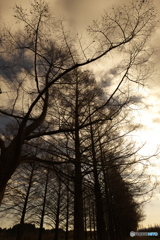 Those are some gloomy rainclouds