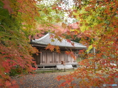 富貴寺と紅葉