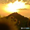 向日葵団地の夕日