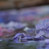 花手水02
