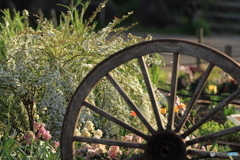 flower bed