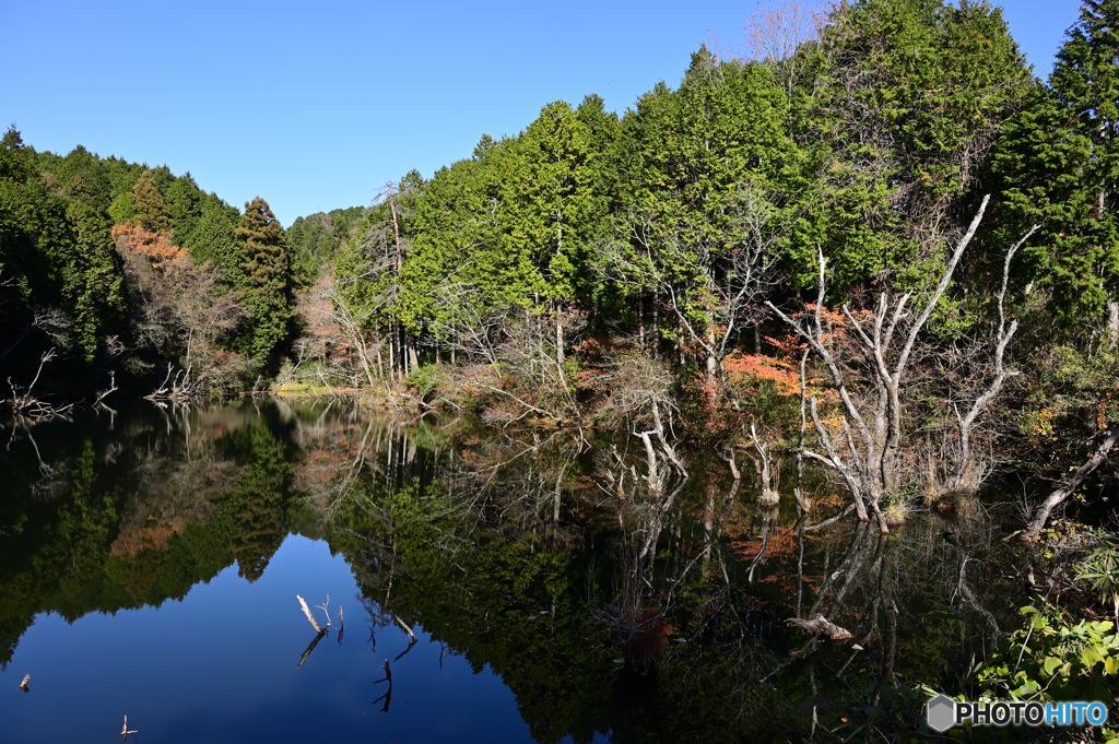 名もなき池の風景