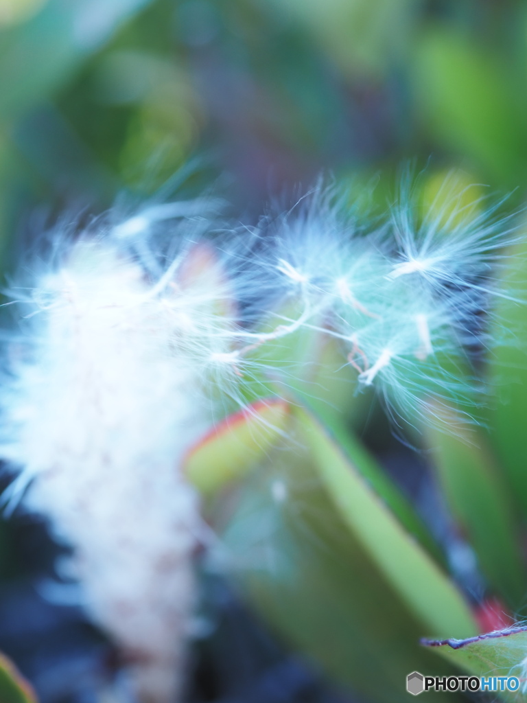 time for a new beginning