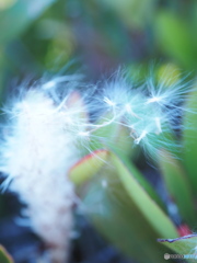 time for a new beginning