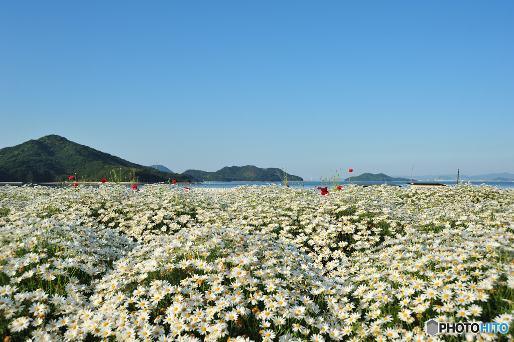 浦島フラワーパーク