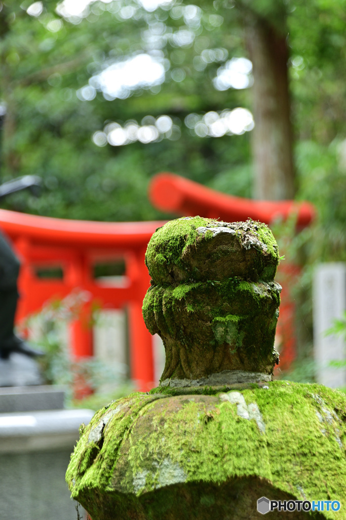 灯籠と鳥居