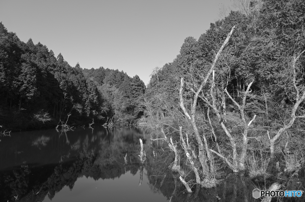 名もなき池の風景monochrome 