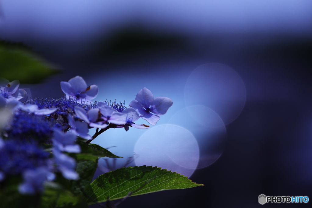 mystical