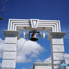 Wedding Bell