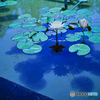 Shadow reflection