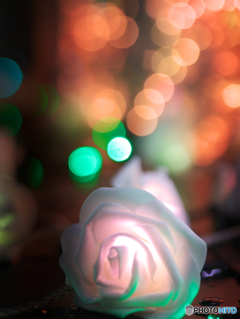 薔薇