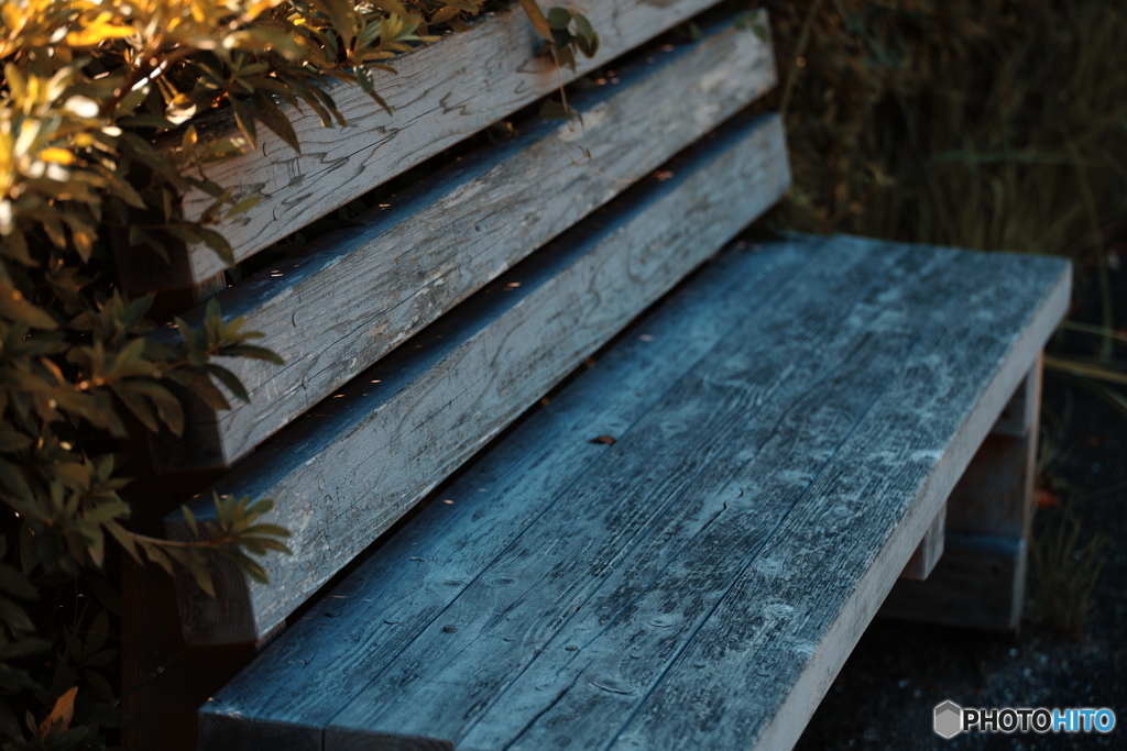 bench