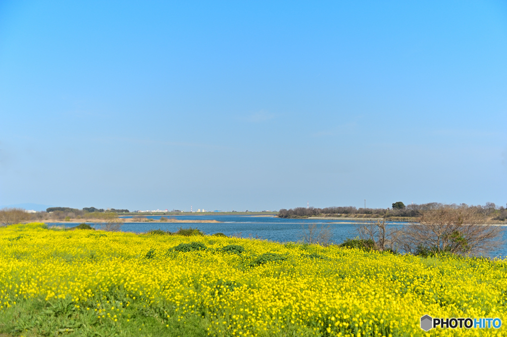 Yellow&Blue