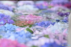 花手水