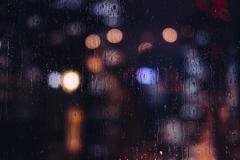 雨