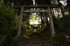山に溶け込む鳥居と階段