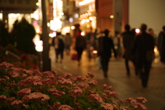 あの日見た花の名前を