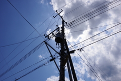 電線シルエット