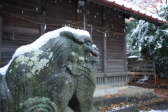 初雪の中で