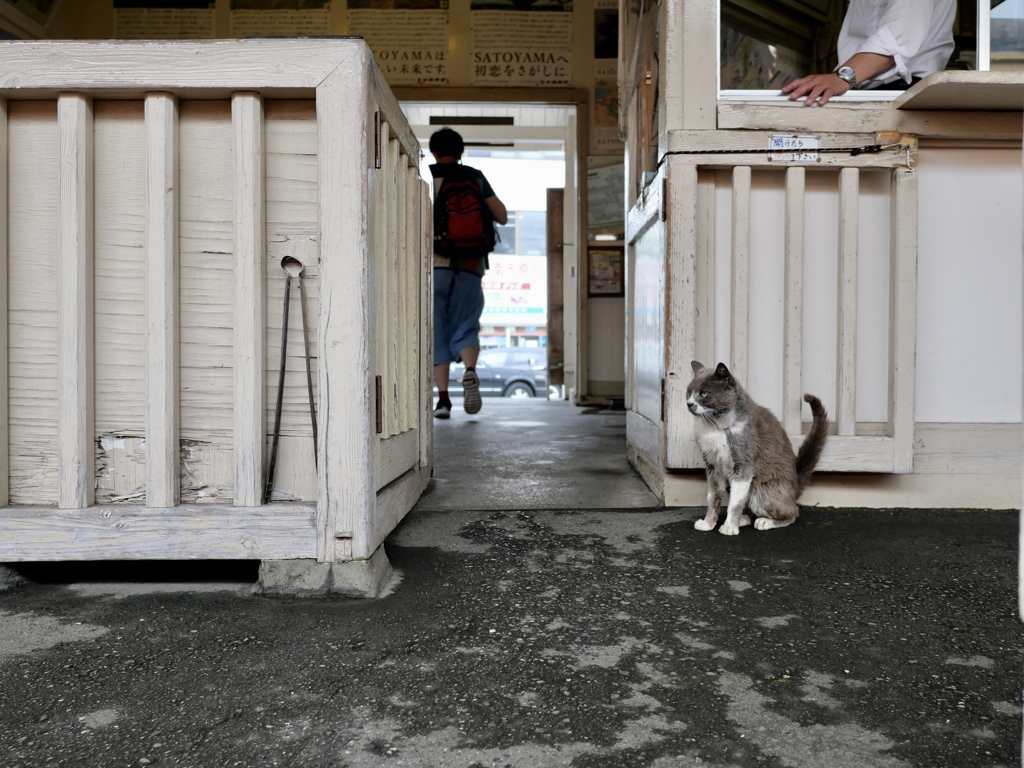 雨上がりの駅にて