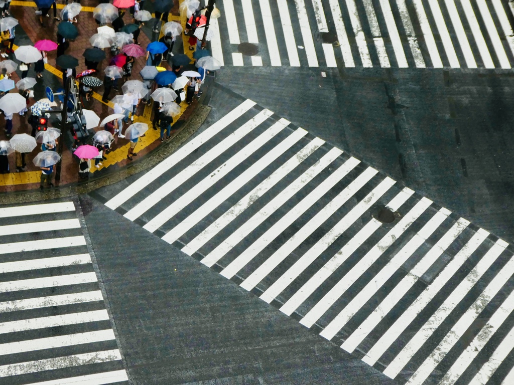 雨の渋谷