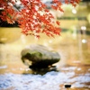 小石川後楽園の紅葉