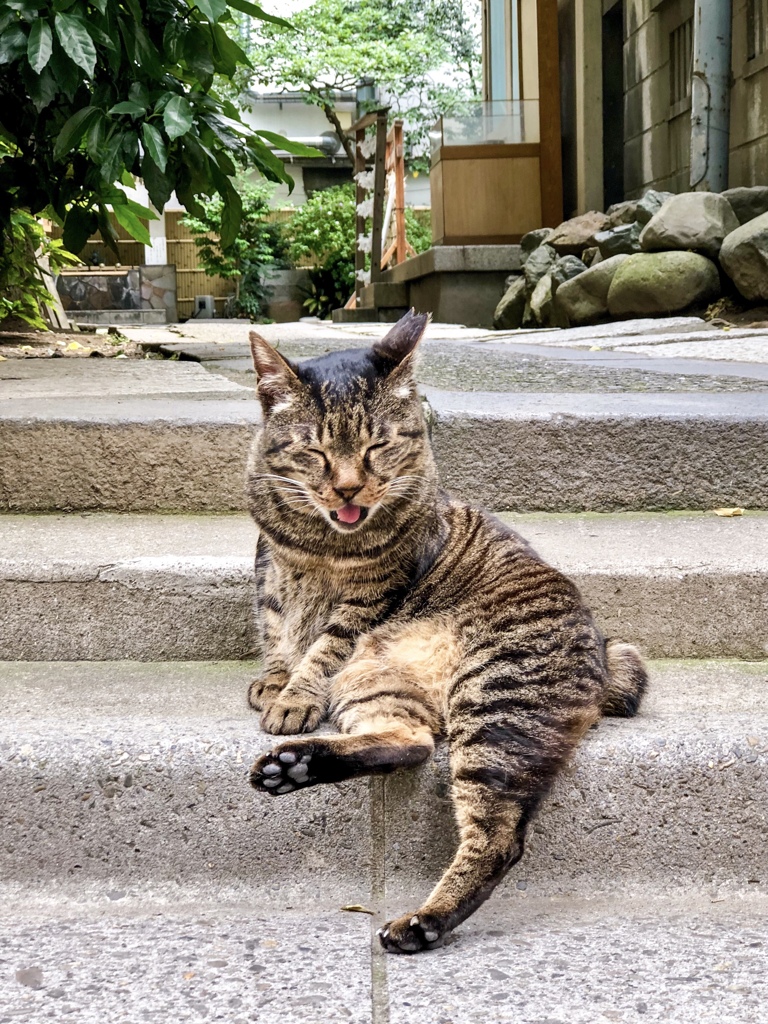 とろける〜！