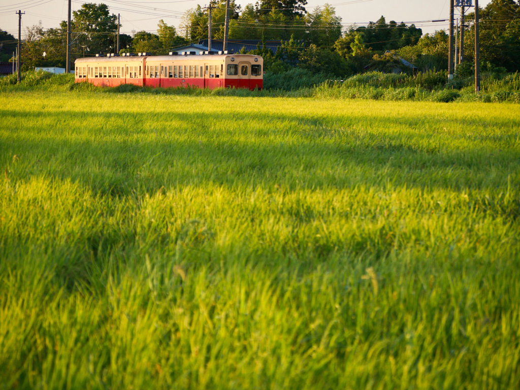 小湊鐵道