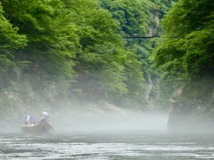 朝霧の中で