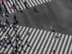 SHIBUYA 