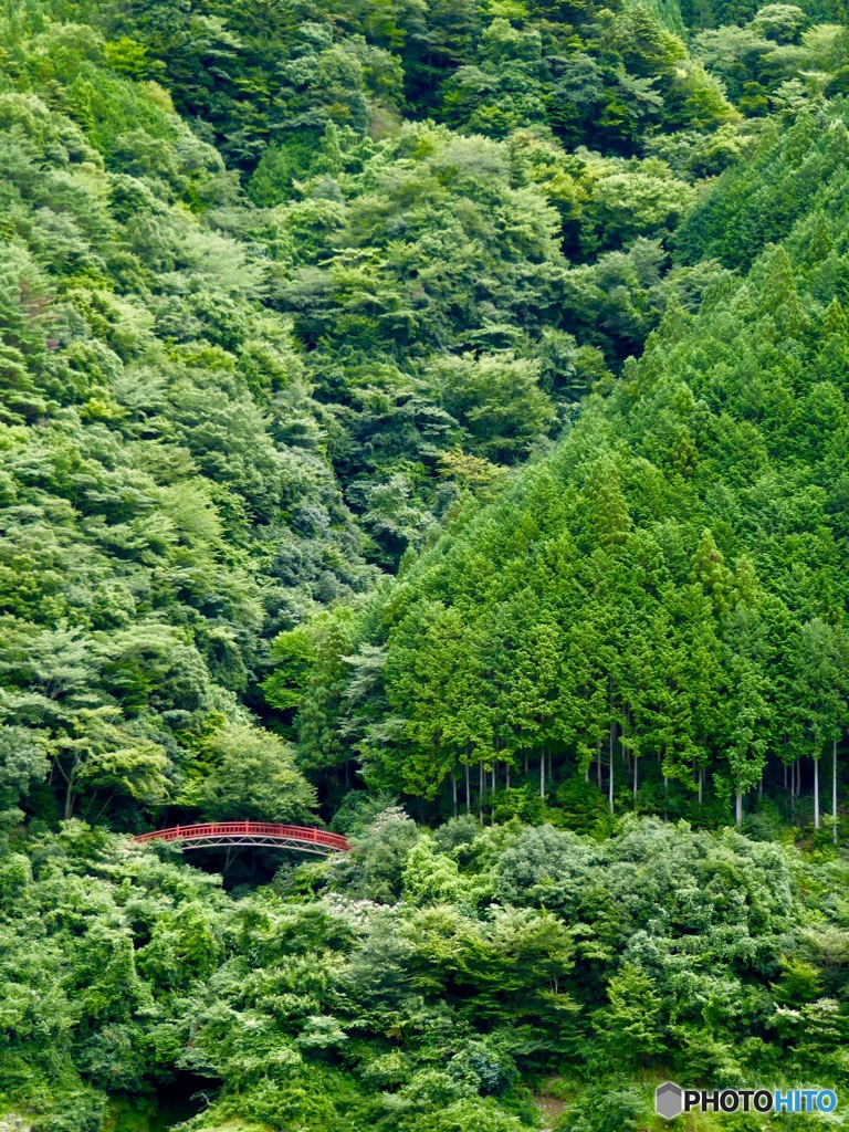 大井川鐵道 井川線
