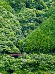 大井川鐵道 井川線