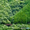 大井川鐵道 井川線