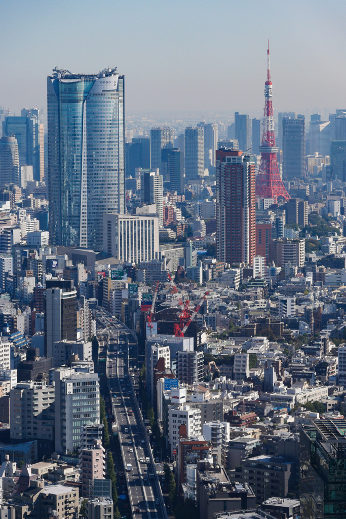 SHIBUYA
