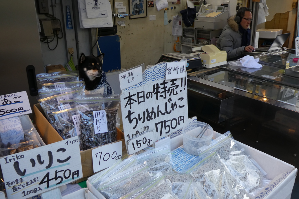 築地の看板娘 (^ ^)