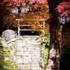 小石川後楽園の紅葉